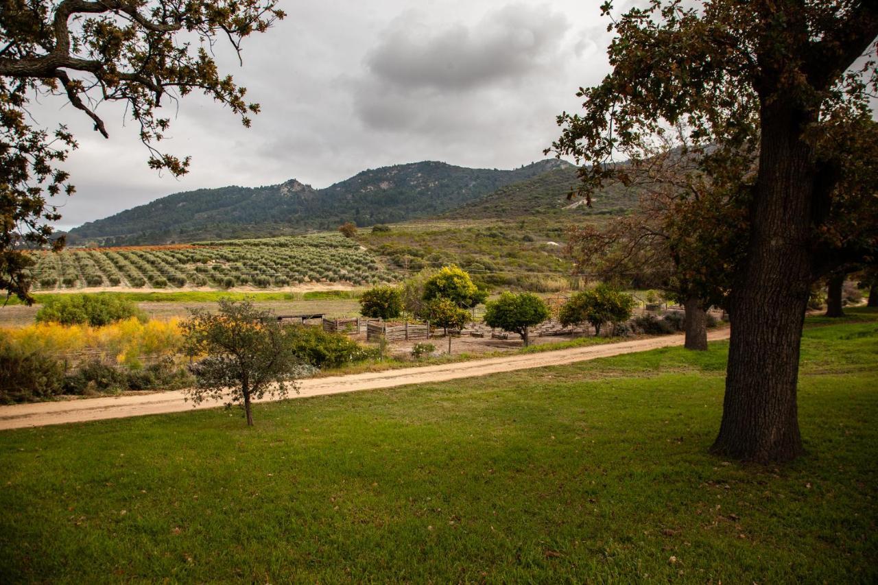 Ayama Wine Farm - Manor House Bed & Breakfast Wellington Exterior photo