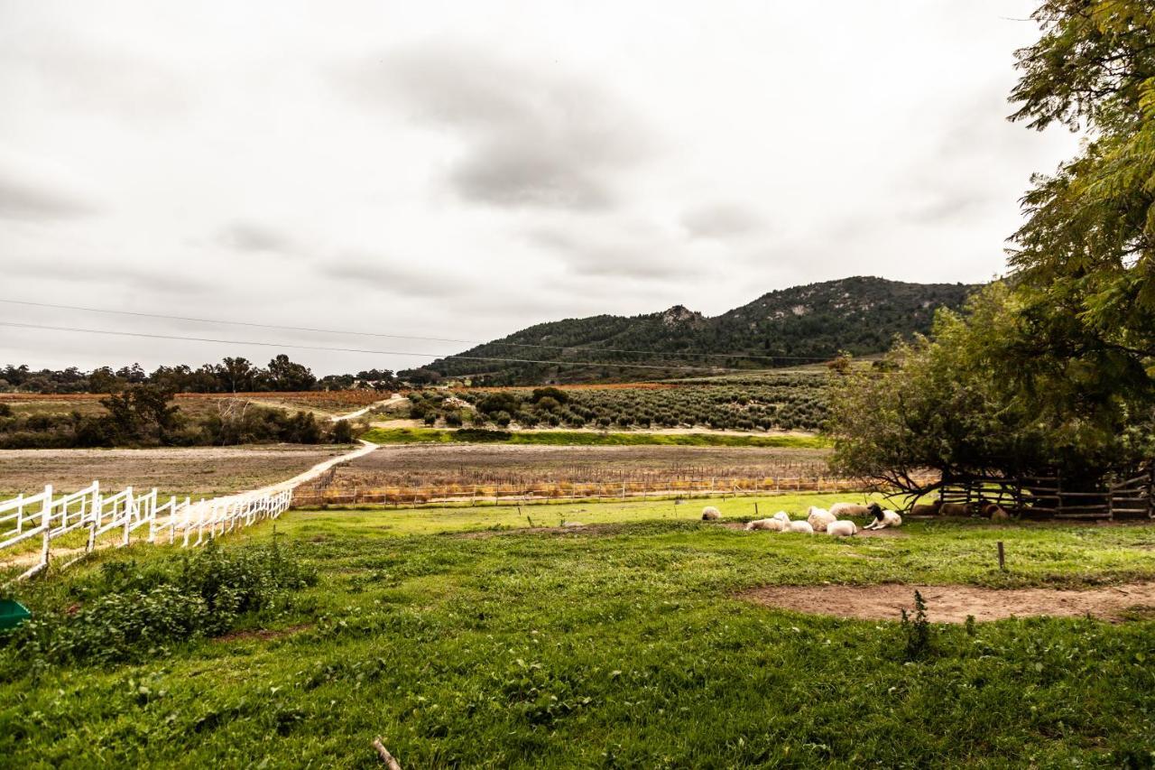 Ayama Wine Farm - Manor House Bed & Breakfast Wellington Exterior photo